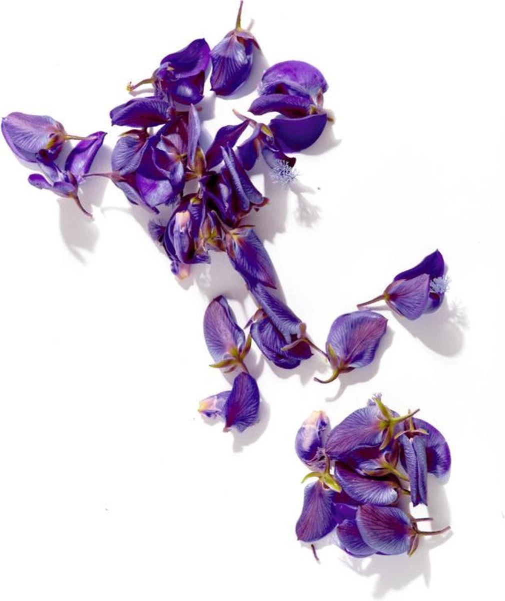 Garnier Ambre Solaire Over Make-up Super UV Zonnebrand SPF 50 - 75ml 11 Garnier Ambre Solaire Over Make-up Super UV Zonnebrand SPF 50 - 75ml - Afbeelding 11