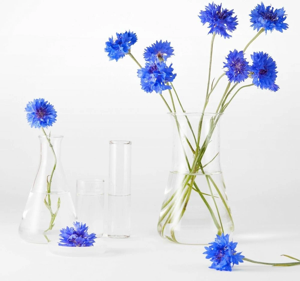 Garnier Bio Micellair Reinigingswater Met Verzachtende Korenbloem - 400 Ml 2 Garnier Bio Micellair Reinigingswater Met Verzachtende Korenbloem - 400 Ml - Afbeelding 2