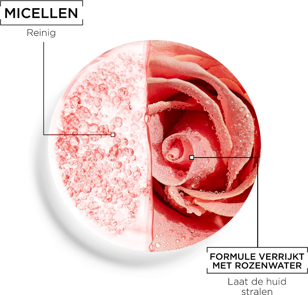 Garnier Skinactive Micellair Reinigingswater Met Rozenwater - 400 Ml 7 Garnier Skinactive Micellair Reinigingswater Met Rozenwater - 400 Ml - Afbeelding 7