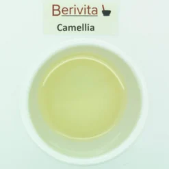 Camellia Olie Puur 50ml - Witte Japonica - Huidolie En Haarolie 9 Camellia Olie Puur 50ml - Witte Japonica - Huidolie En Haarolie -Goedkope Gezicht Zoet Winkel 1200x1198 3