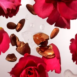 RITUALS The Ritual Of Ayurveda Body Cream & Refill Duo - 440 Ml -Goedkope Gezicht Zoet Winkel 1200x1200 135