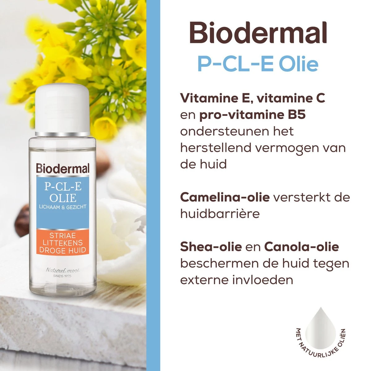 Biodermal P-CL-E Olie - Huidolie - Huidverzorging Voor Striae, Littekens En Droge Huid - Huidolie 75 Ml 10 Biodermal P-CL-E Olie - Huidolie - Huidverzorging Voor Striae, Littekens En Droge Huid - Huidolie 75 Ml - Afbeelding 10