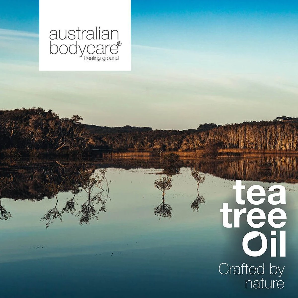 Australian Bodycare Body Lotion 200 Ml - Bodylotion Met Tea Tree Olie Verzorgt En Voorkomt Een Onzuivere En Droge Huid - Vermindert Vlekjes, Puistjes, Jeuk, Jeugdpuistjes, Lichaamsgeurtjes & Zweetvoeten - Geschikt Voor Vrouwen & Mannen 3 Australian Bodycare Body Lotion 200 Ml - Bodylotion Met Tea Tree Olie Verzorgt En Voorkomt Een Onzuivere En Droge Huid - Vermindert Vlekjes, Puistjes, Jeuk, Jeugdpuistjes, Lichaamsgeurtjes & Zweetvoeten - Geschikt Voor Vrouwen & Mannen - Afbeelding 3