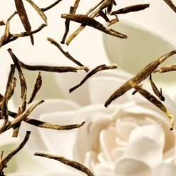 RITUALS The Ritual Of Karma Sun Protection Milky Spray 50 - 200 Ml 7 RITUALS The Ritual Of Karma Sun Protection Milky Spray 50 - 200 Ml -Goedkope Gezicht Zoet Winkel 1200x1200 372