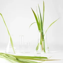 Garnier Bio Detox Reinigingsgel Verfrissende Citroengras - 3 X 150 Ml 15 Garnier Bio Detox Reinigingsgel Verfrissende Citroengras - 3 X 150 Ml -Goedkope Gezicht Zoet Winkel 1200x1200 554