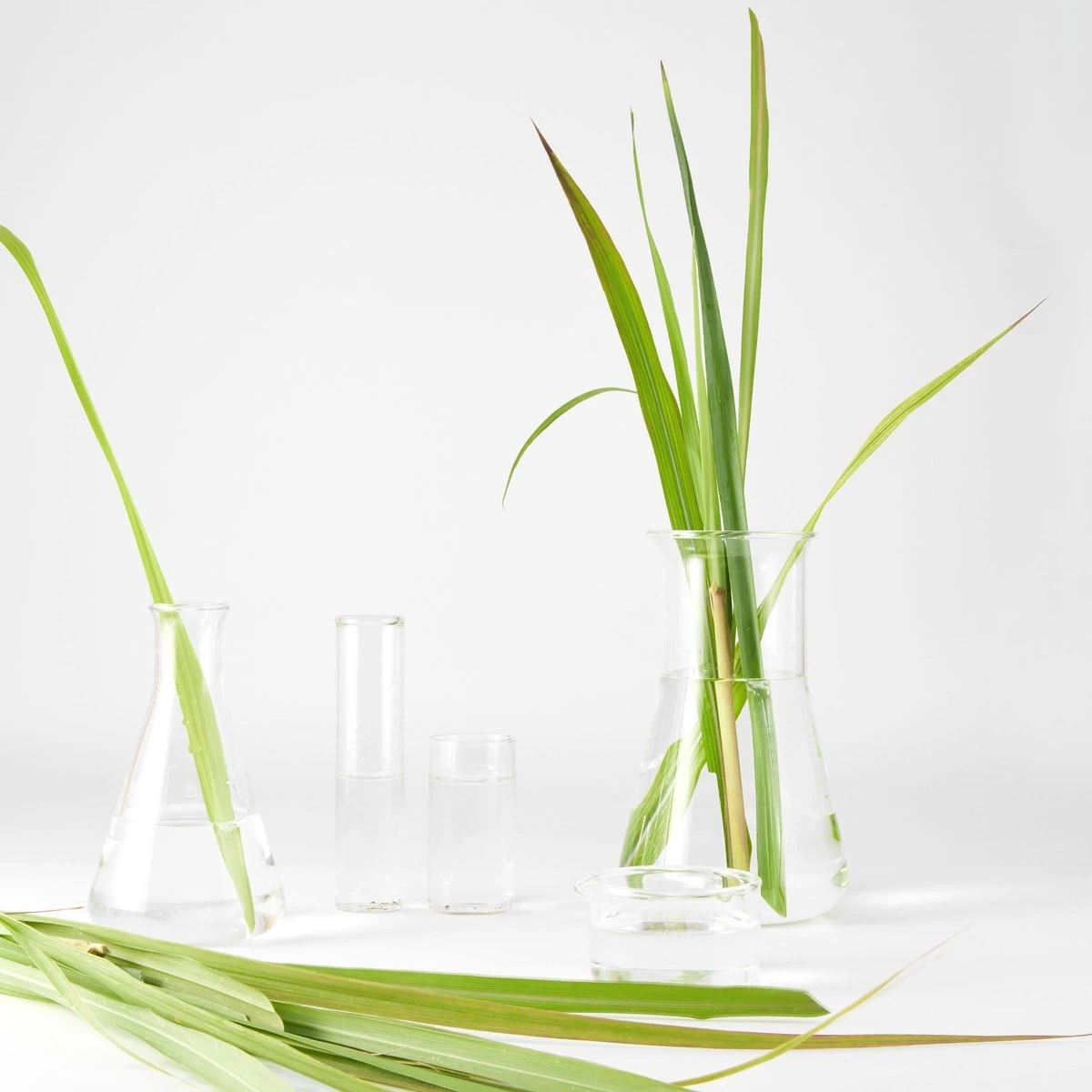 Garnier Bio Detox Reinigingsgel Verfrissende Citroengras - 3 X 150 Ml 5 Garnier Bio Detox Reinigingsgel Verfrissende Citroengras - 3 X 150 Ml - Afbeelding 5