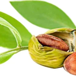 Jojoba Olie 100ml | 100% Puur & Onbewerkt | Jojobaolie Voor Gezicht, Haar En Lichaam 11 Jojoba Olie 100ml | 100% Puur & Onbewerkt | Jojobaolie Voor Gezicht, Haar En Lichaam -Goedkope Gezicht Zoet Winkel 1200x466