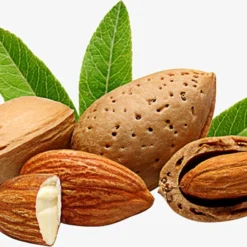 Amandelolie 100ml | 100% Puur & Onbewerkt | Koudgeperste Zoete Amandel Olie Voor Haar, Huid En Lichaam -Goedkope Gezicht Zoet Winkel 1200x723