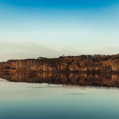 Australian Bodycare Body Treatment - 3 Producten Tegen Puistjes, Een Onzuivere Huid En Mee–eters Op De Rug En Billen Gebaseerd Op Tea Tree Olie - Bevat Douchegel En Peeling Om Je Huid Te Reinigen En Bodylotion Om Je Huid Te Hydrateren En Verzorgen 7 Australian Bodycare Body Treatment - 3 Producten Tegen Puistjes, Een Onzuivere Huid En Mee–eters Op De Rug En Billen Gebaseerd Op Tea Tree Olie - Bevat Douchegel En Peeling Om Je Huid Te Reinigen En Bodylotion Om Je Huid Te Hydrateren En Verzorgen -Goedkope Gezicht Zoet Winkel 1200x800 17