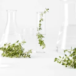 Garnier Bio Perfectionerende Toner Met Thijm - Voor Alle Huidtypen - 150ml 9 Garnier Bio Perfectionerende Toner Met Thijm - Voor Alle Huidtypen - 150ml -Goedkope Gezicht Zoet Winkel 1200x911