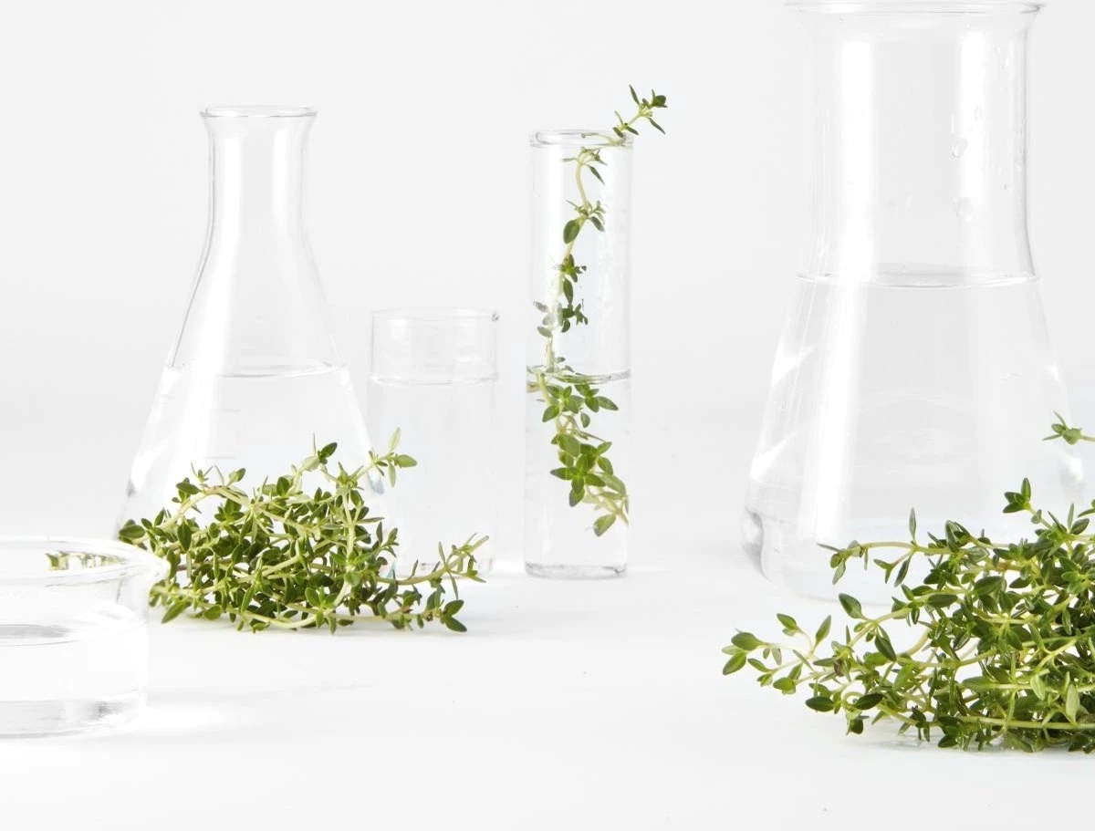 Garnier Bio Perfectionerende Toner Met Thijm - Voor Alle Huidtypen - 150ml 5 Garnier Bio Perfectionerende Toner Met Thijm - Voor Alle Huidtypen - 150ml - Afbeelding 5