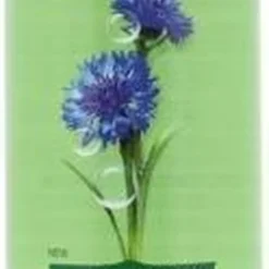 Garnier Bio Micellair Reinigingswater Met Verzachtende Korenbloem - 400 Ml 18 Garnier Bio Micellair Reinigingswater Met Verzachtende Korenbloem - 400 Ml -Goedkope Gezicht Zoet Winkel 374x1200 3