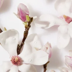 NIVEA Essentials Dagelijkse Reiniging - 150 Ml - Reinigingsscrub 9 NIVEA Essentials Dagelijkse Reiniging - 150 Ml - Reinigingsscrub -Goedkope Gezicht Zoet Winkel 800x1200 29