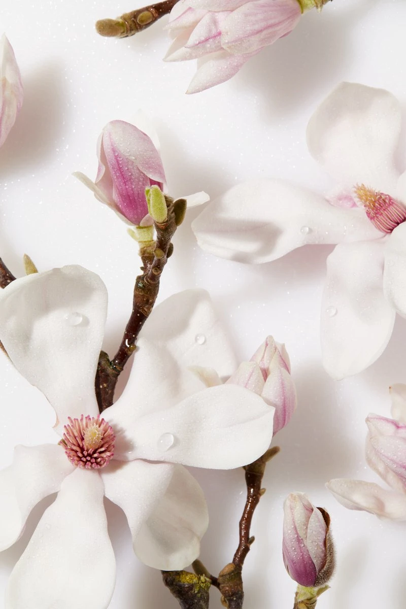 NIVEA Essentials Dagelijkse Reiniging - 150 Ml - Reinigingsscrub 3 NIVEA Essentials Dagelijkse Reiniging - 150 Ml - Reinigingsscrub - Afbeelding 3