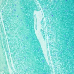 NIVEA Essentials Dagelijkse Reiniging - 150 Ml - Reinigingsscrub 13 NIVEA Essentials Dagelijkse Reiniging - 150 Ml - Reinigingsscrub -Goedkope Gezicht Zoet Winkel 800x1200 30