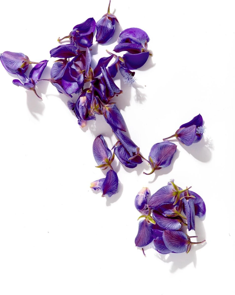 Garnier Ambre Solaire Over Make-up Super UV Zonnebrand SPF 50 - 75ml 12 Garnier Ambre Solaire Over Make-up Super UV Zonnebrand SPF 50 - 75ml - Afbeelding 12